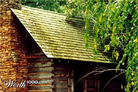 Photography by Isabella2006