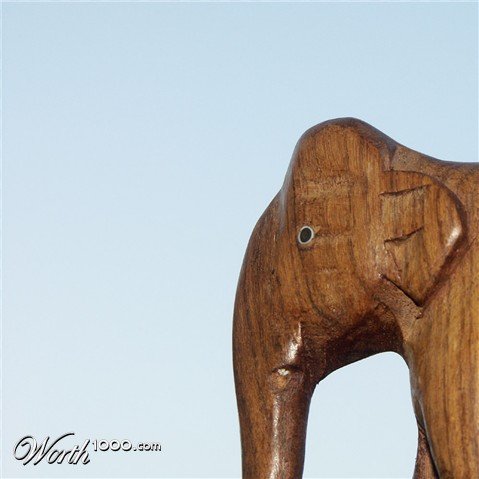 Photography by Rouwkema