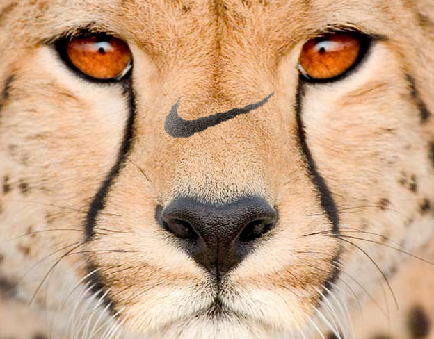 Photoshop Design by Kwyjibo78 for DesignCrowd (Community Contests) | Design #9060624