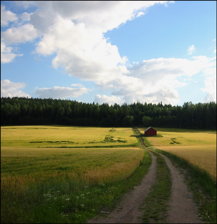 Photography by VikaValter for DesignCrowd (Community Contests) | Design #9069435