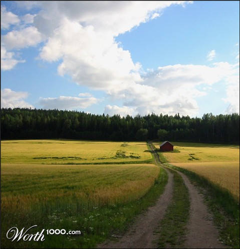 Photography by VikaValter