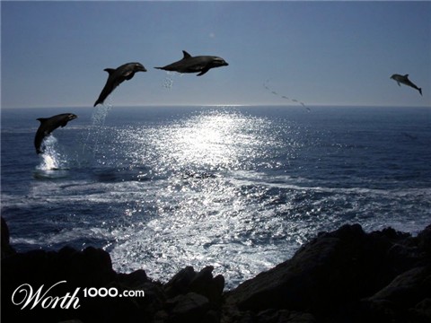 Photoshop Design by zitrodivad