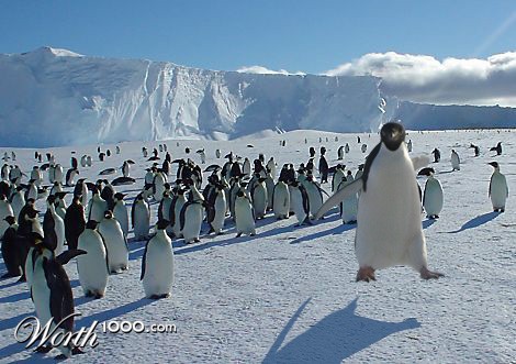 Photoshop Design by EmptyHead