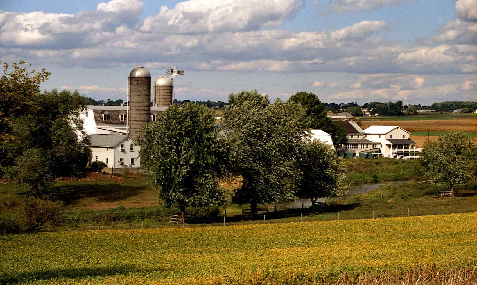 Photography by tigercrosse for DesignCrowd (Community Contests) | Design #9069424