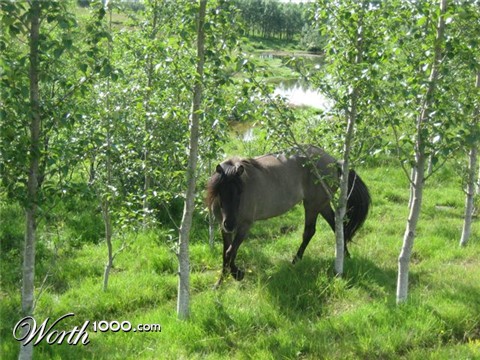 Photography by Maddyy