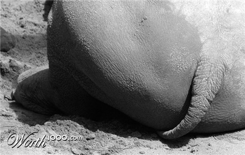 Photography by kimbomac