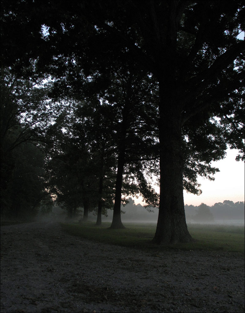 Photography by gunmetal for DesignCrowd (Community Contests) | Design #9069343