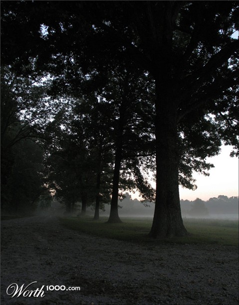 Photography by gunmetal