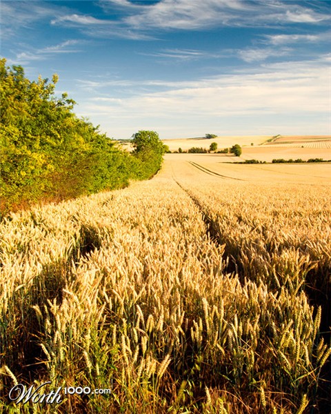 Photography by Alex999