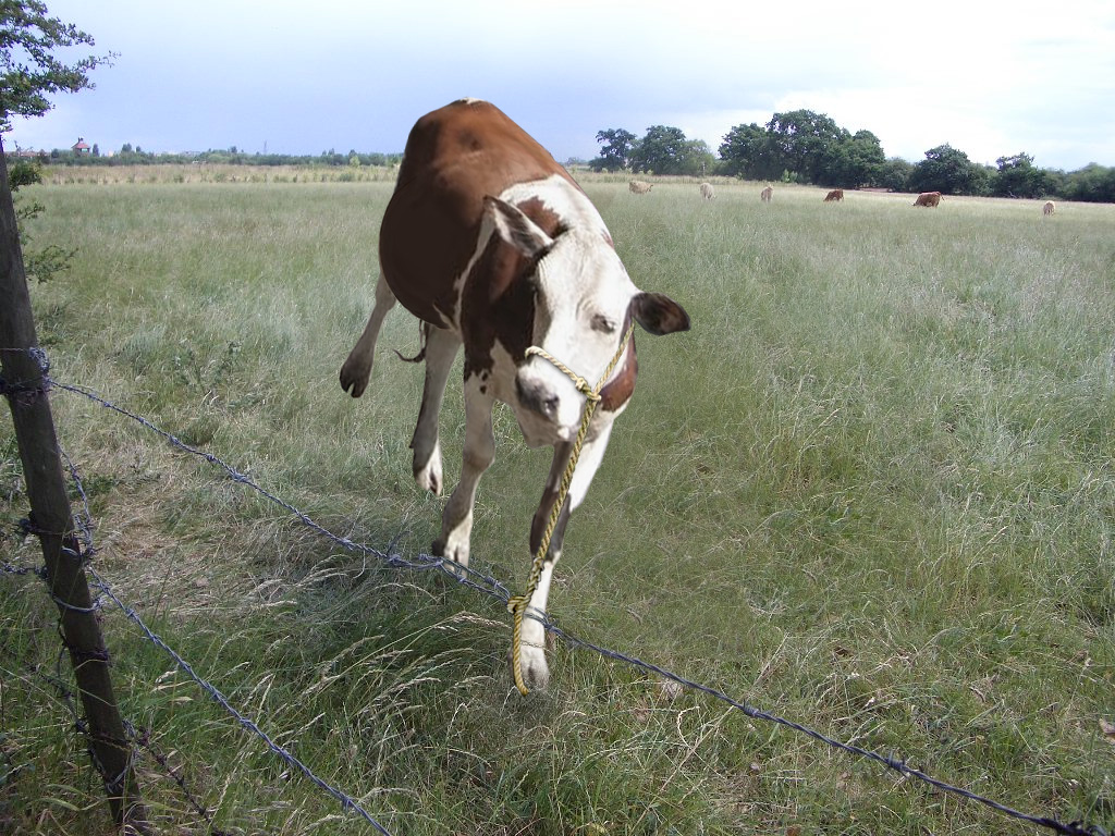 Design Photoshop par Deborahb pour DesignCrowd (Community Contests) | Design #9067595