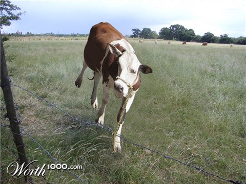 Photoshop Design by Deborahb