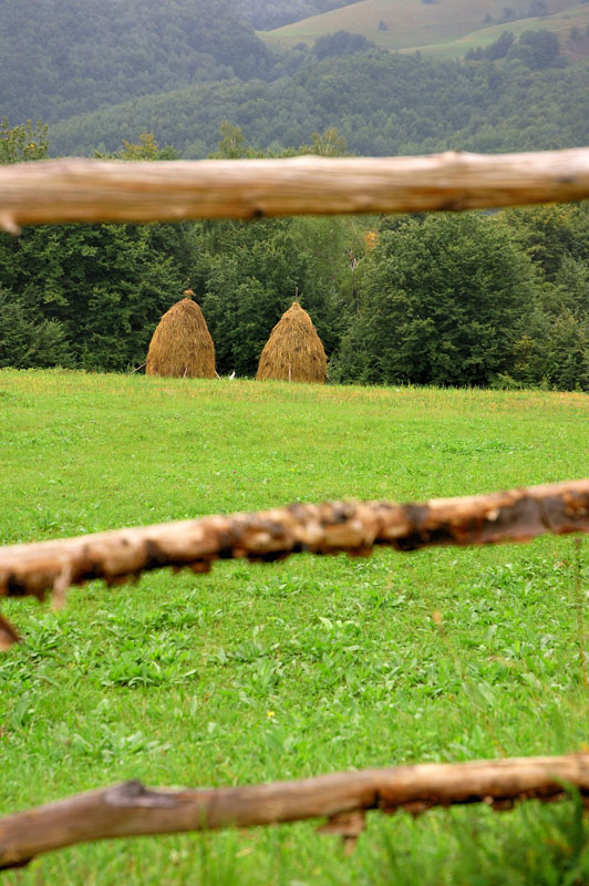 Photography by attacker for DesignCrowd (Community Contests) | Design #9069447