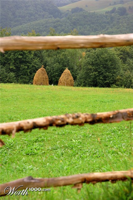 Photography by attacker