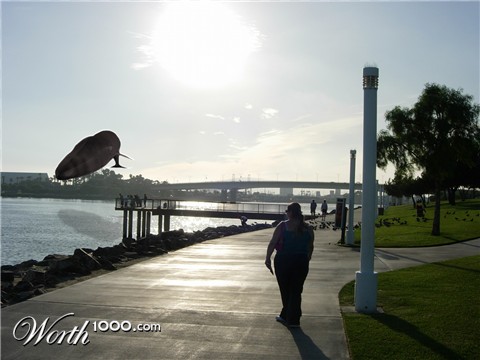 Photoshop Design by PatrickRyan