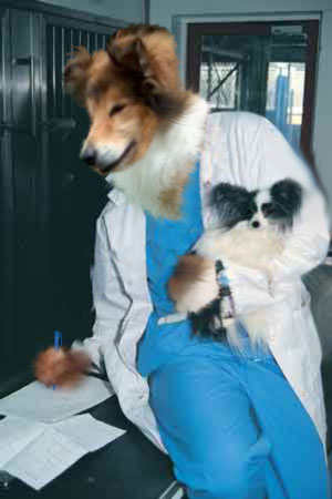 Photoshop Design by lastoftheblueroses for DesignCrowd (Community Contests) | Design #9064054