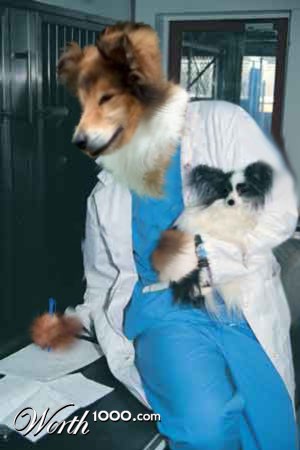 Photoshop Design by lastoftheblueroses