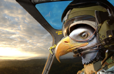 Photoshop Design by Israfelx for DesignCrowd (Community Contests) | Design #9064084