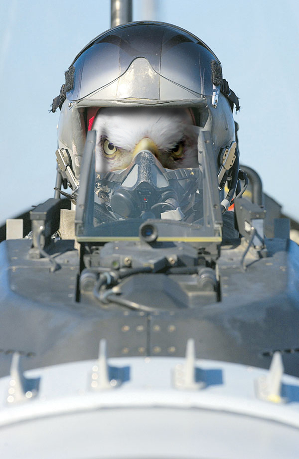 Design Photoshop par Gramlengo pour DesignCrowd (Community Contests) | Design #9064072