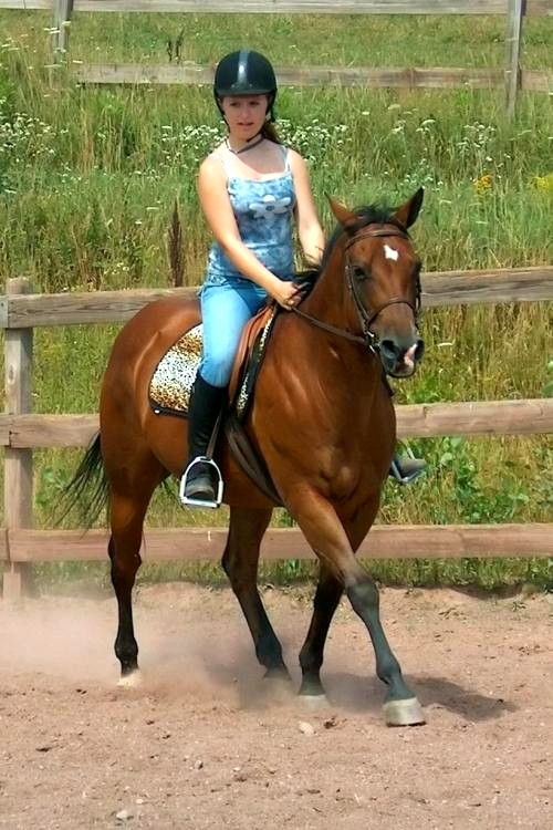 Photography by Kirsilouis for DesignCrowd (Community Contests) | Design #9071836