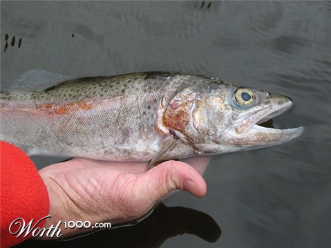 Photography by angel2kiss