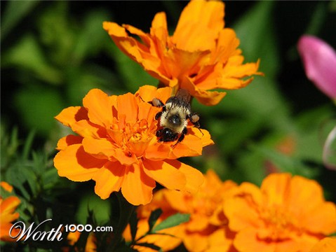 Photography by angel2kiss