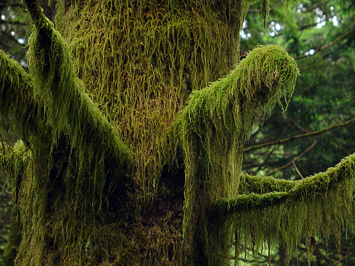 Fotografía por zenit47 para DesignCrowd (Community Contests) | Diseño #9070392