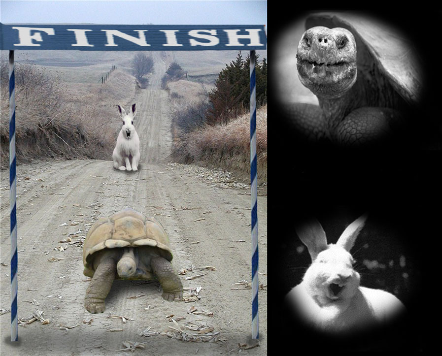 Photoshop Design by ganiggle for DesignCrowd (Community Contests) | Design #9069645