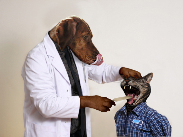 Design Photoshop par Anabole pour DesignCrowd (Community Contests) | Design #9064118