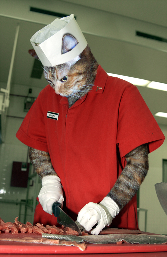 Diseño de Photoshop por jayjay007 para DesignCrowd (Community Contests) | Diseño #9064131