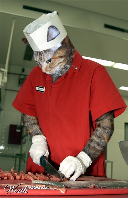 Photoshop Design by jayjay007