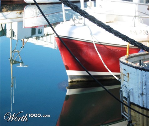 Photography by Maddyy