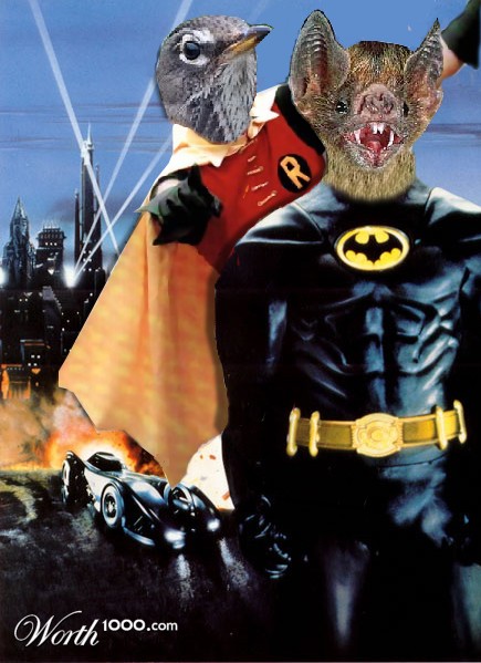 Photoshop Design by Johnnycash