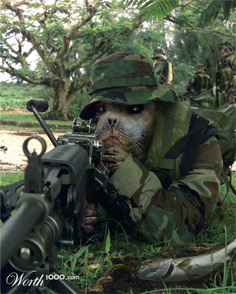 Photoshop Design by irishbryan