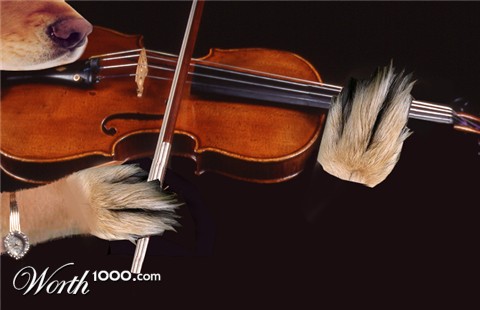 Photoshop Design by funky123