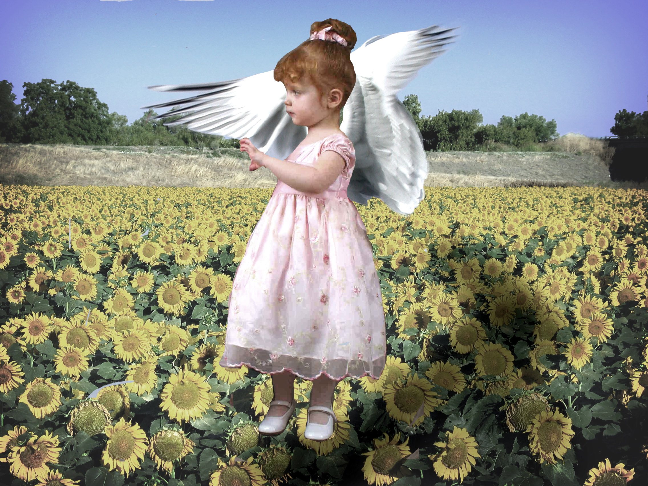 Photoshop Design by lucidgirl for DesignCrowd (Community Contests) | Design #9069669