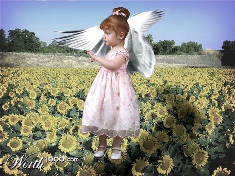 Photoshop Design by lucidgirl