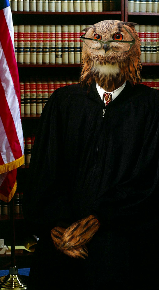 Photoshop Design by Dziedzic for DesignCrowd (Community Contests) | Design #9064172