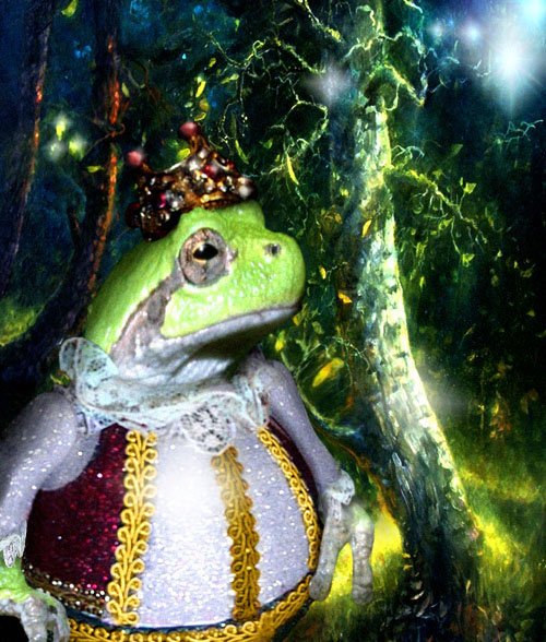 Photoshop Design by PiviPivi for DesignCrowd (Community Contests) | Design #9069683