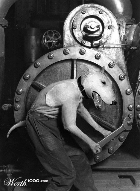 Photoshop Design by digammo