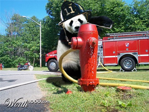 Photoshop Design by bingobaby