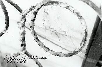Photography by deadlykiss228