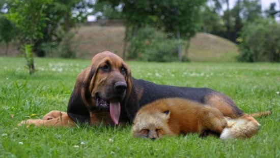 Photoshop-Design von ThEShaDoW für DesignCrowd (Community Contests) | Design #9069672