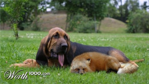 Photoshop Design by ThEShaDoW