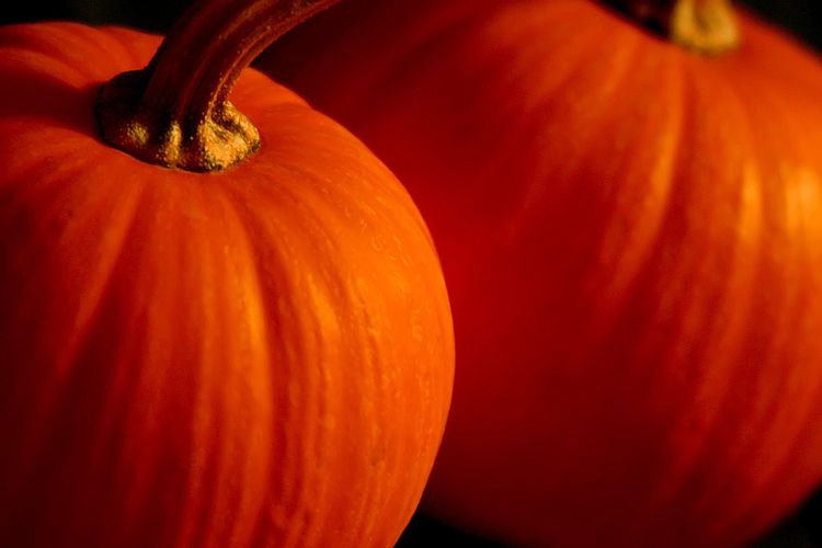 Photography by binkyat3 for DesignCrowd (Community Contests) | Design #9069523