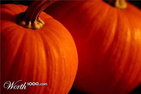 Photography by binkyat3