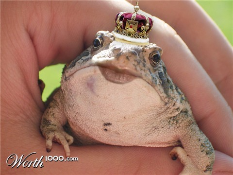 Photoshop Design by YvesDP