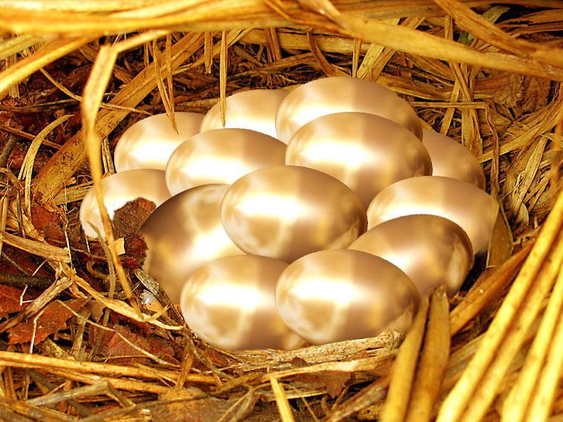 Photoshop Design by rico777 for DesignCrowd (Community Contests) | Design #9069712