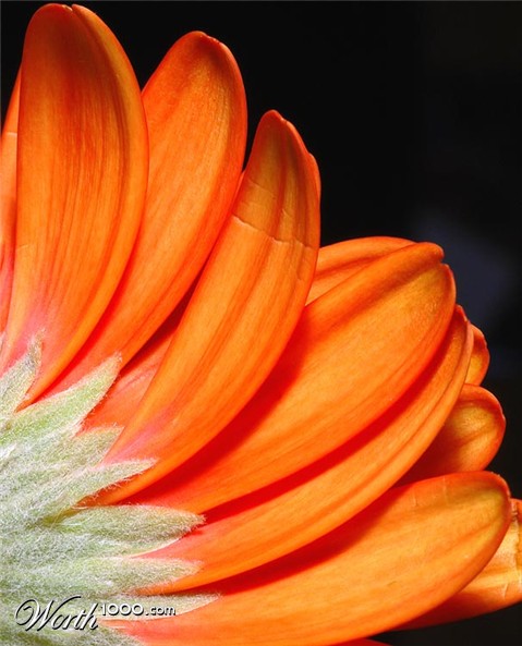 Photography by Marian