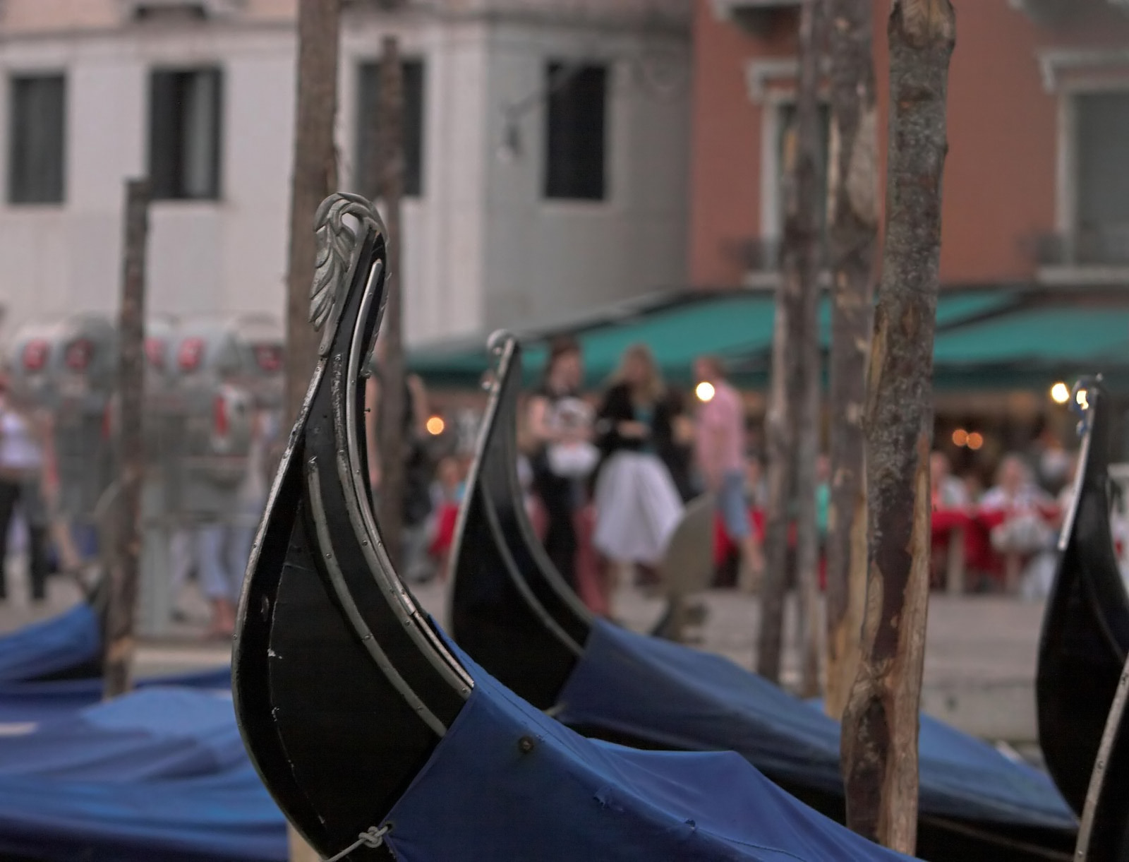 Photography by Dragon60 for DesignCrowd (Community Contests) | Design #9070338