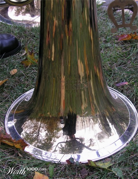 Photography by mzmzmzmz